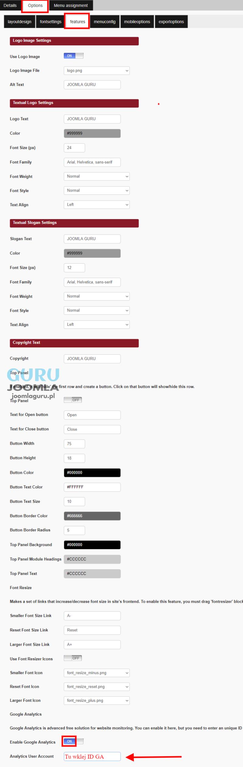hotthemes sparky v1 dodawanie kodu google analitcs