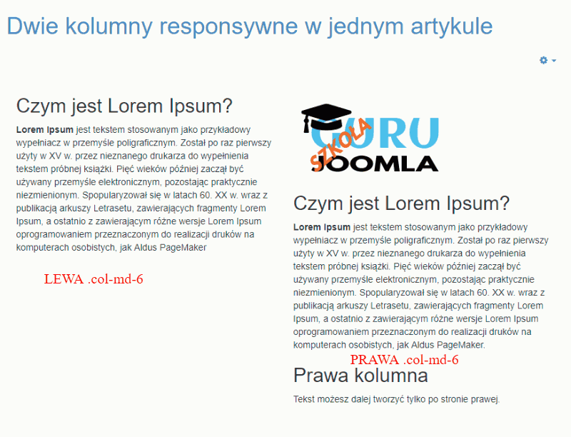 dwie kolumny na duzym ekranie responsywne