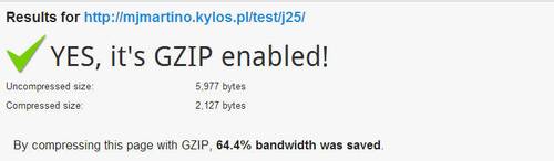 gzip-optymalizacja
